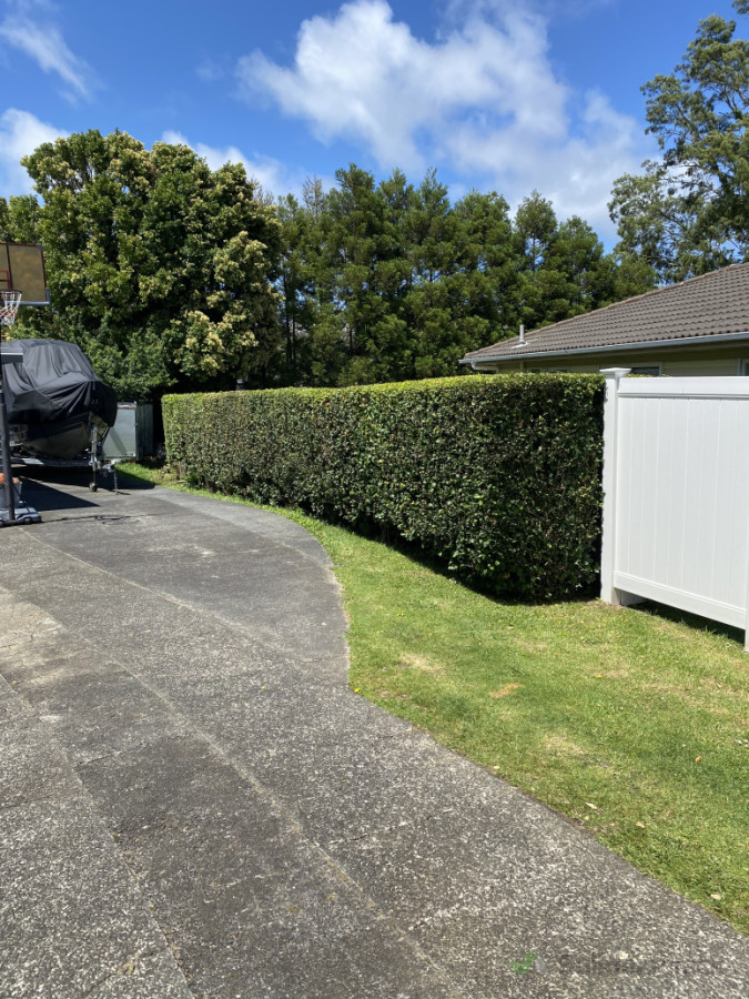 We enjoy doing small to medium size hedges