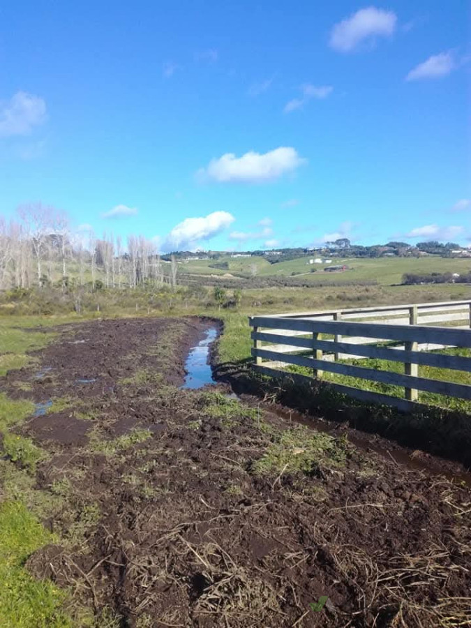 Farm drainage,waipu,northland
