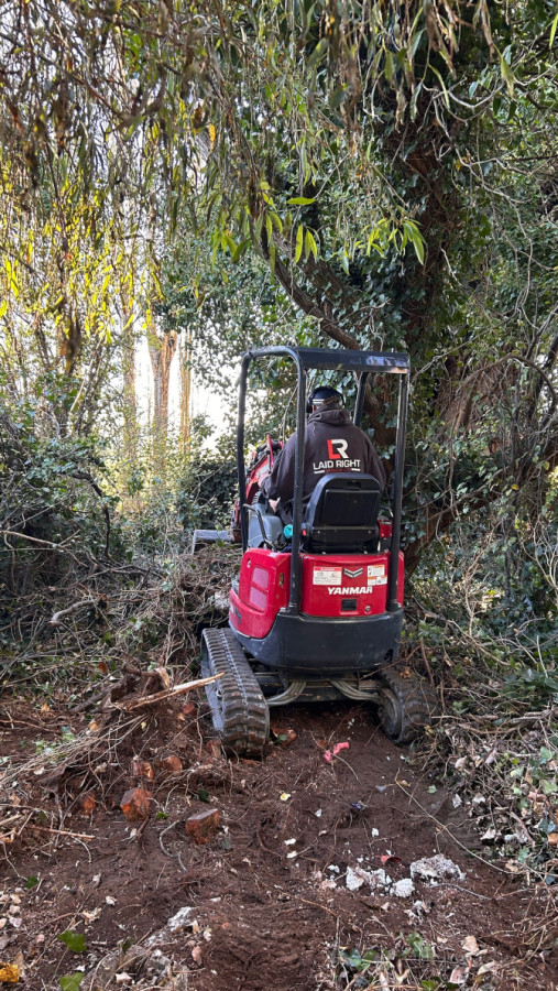 Site clearing