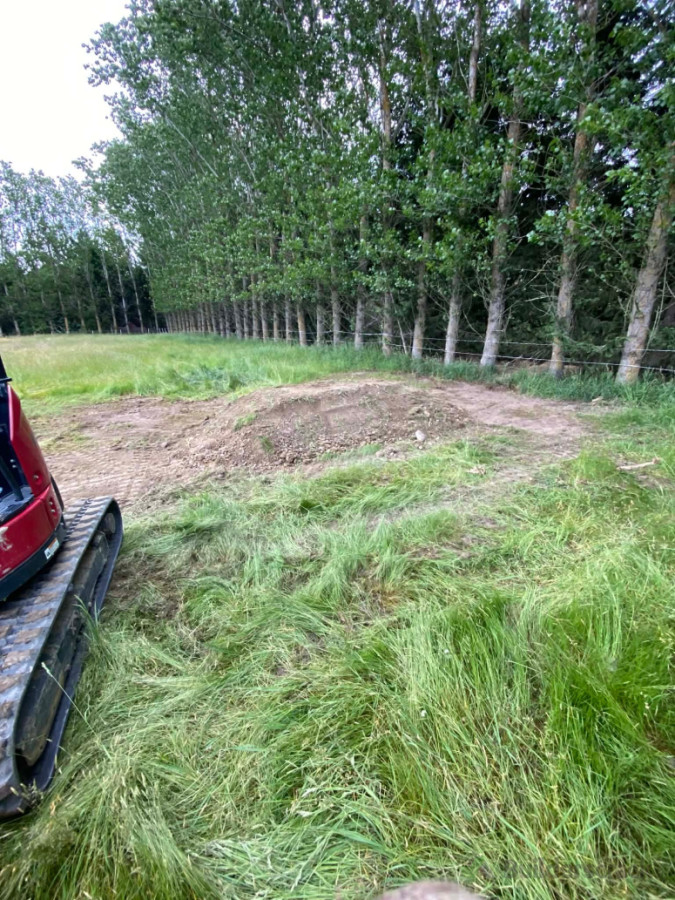 Large animal burial