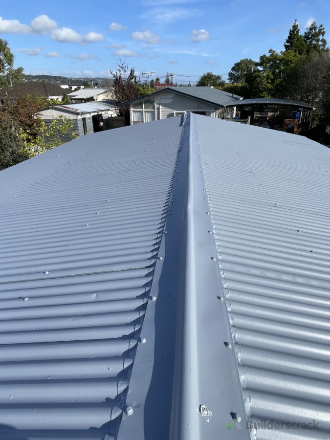 Roof water blaster, repair and painting