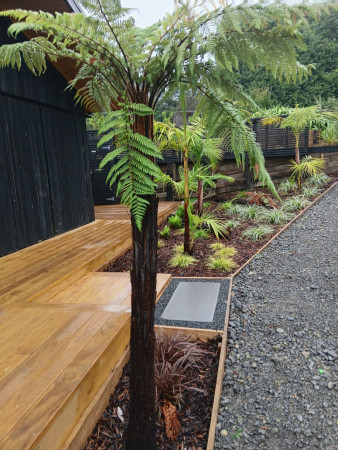 A blend of native and exotic plants creates a welcoming entrance alongside the driveway.