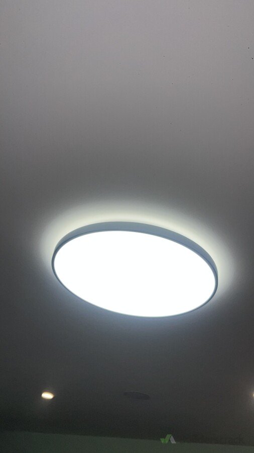 LED Oyster Light