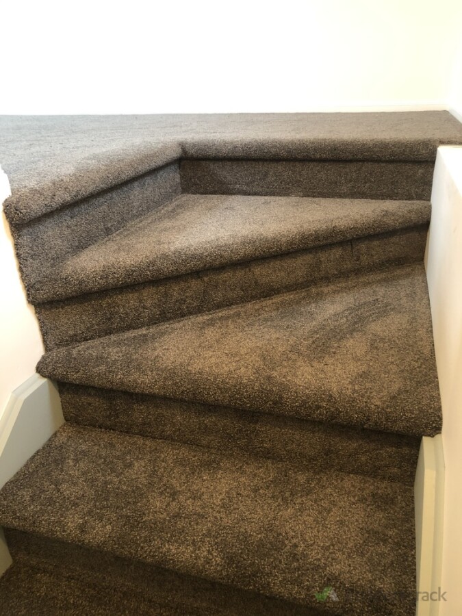 Bullnose plush pile carpeted staircase