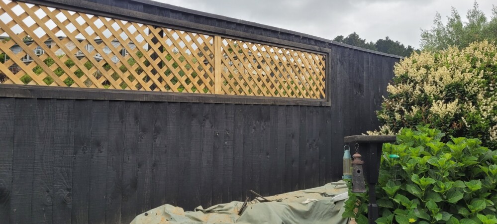 Fence Trellis