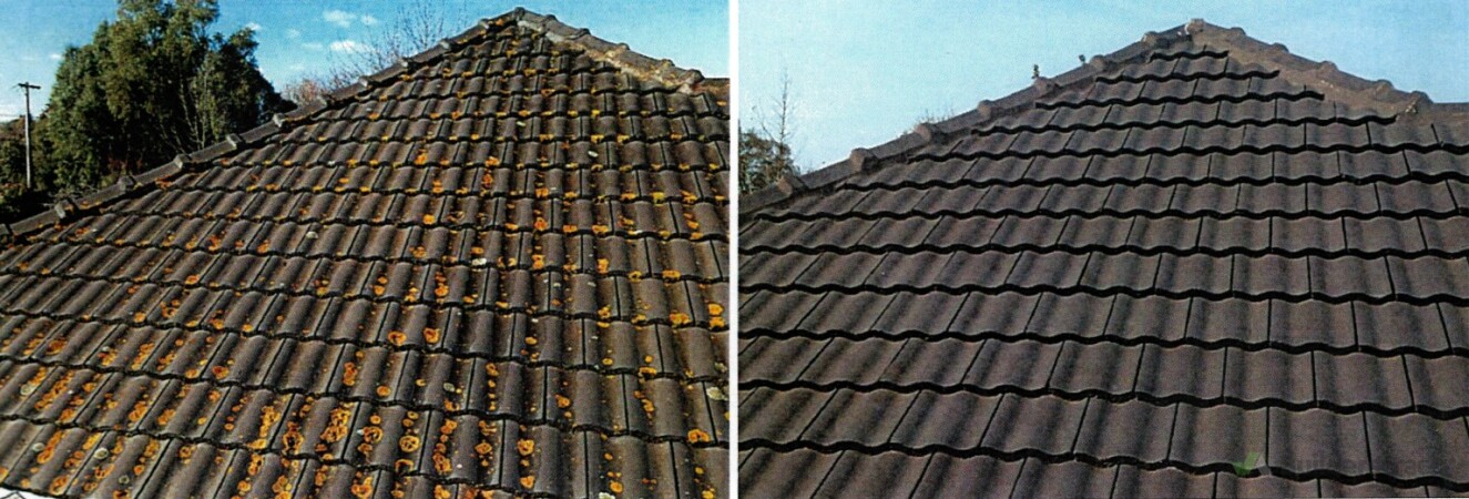 Before and After