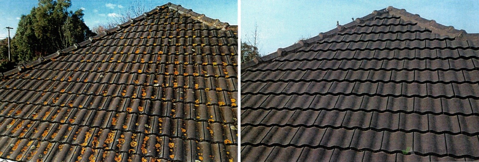 Before and After