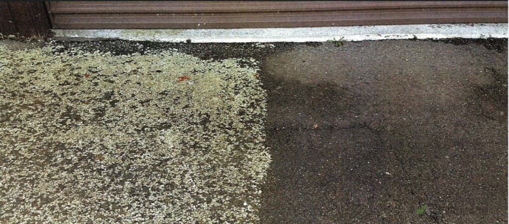 On Path - Lichen removal Before / After
