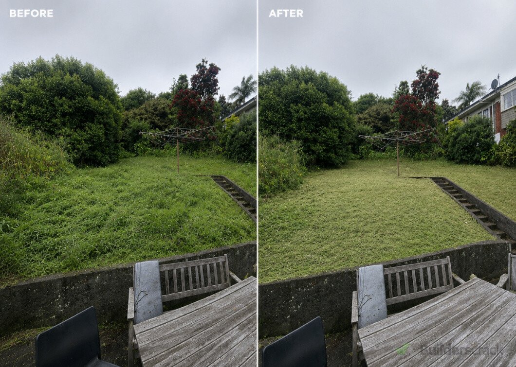 Overgrown lawn: Before vs After