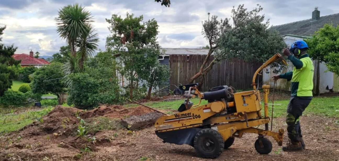 Stump Grinding Services