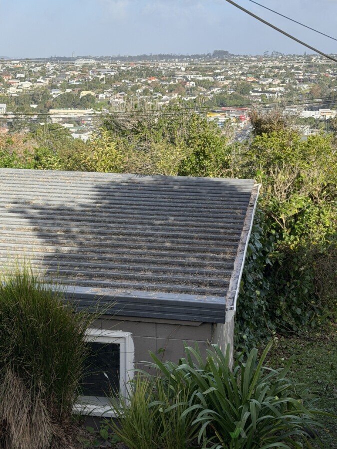 Gutter cleared