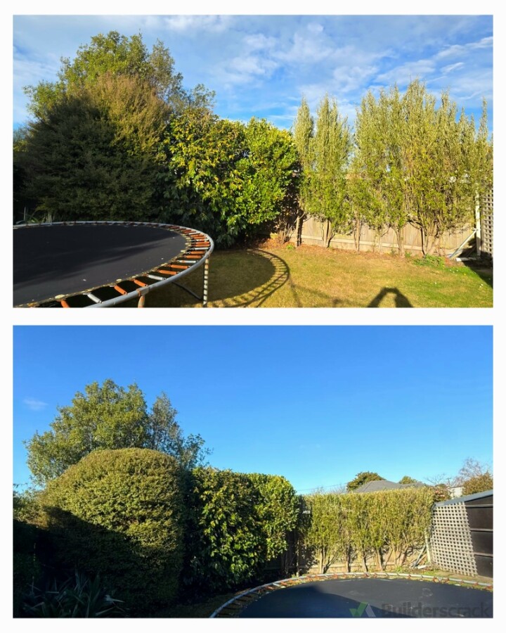 Hedge & shrub trimming