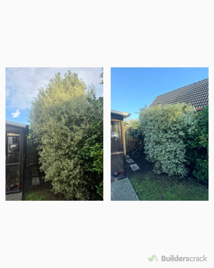 Hedge & shrub trimming