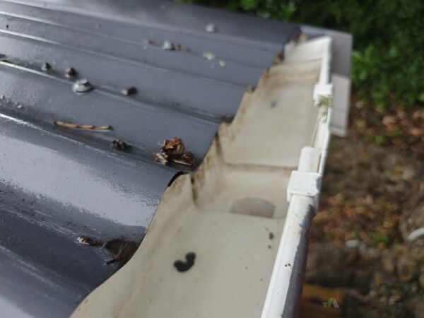 1st storey after