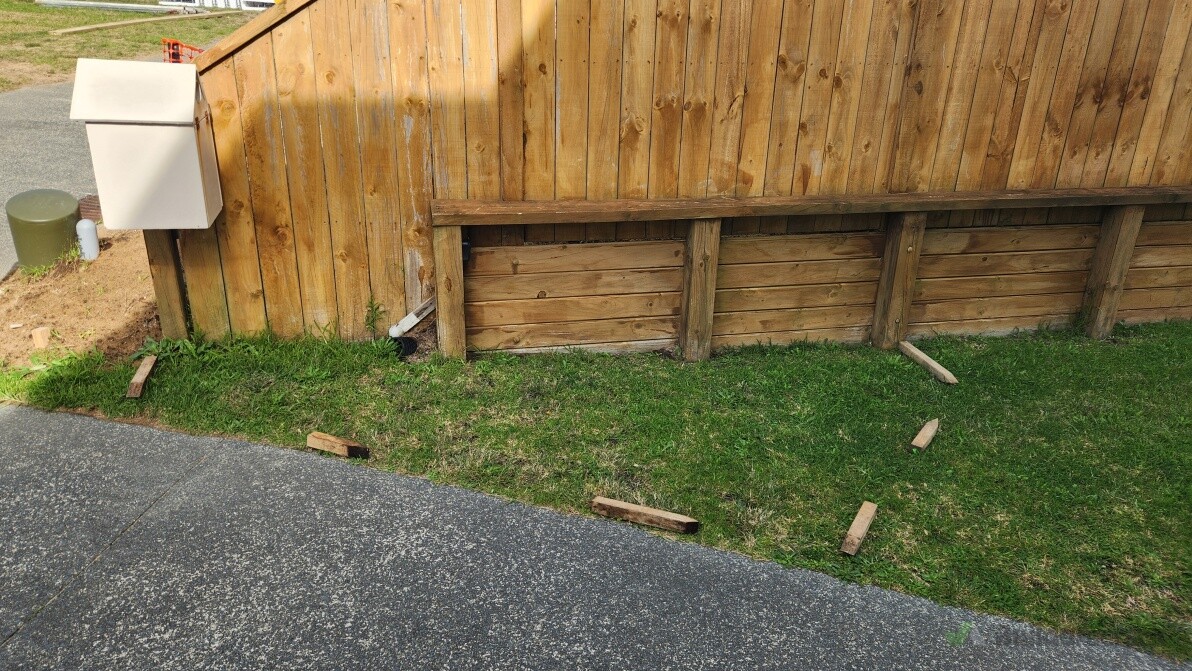 New garden - Before
