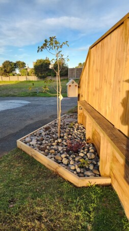 New garden - After