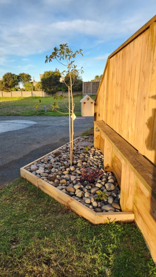 New garden - After