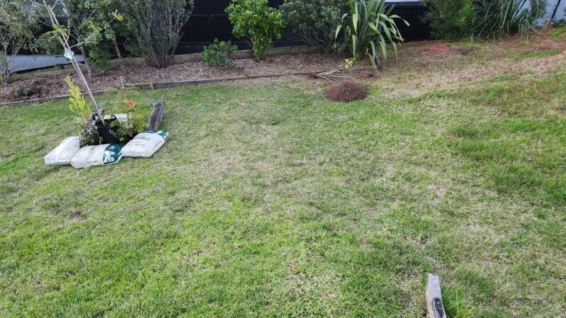 Garden extension - Before