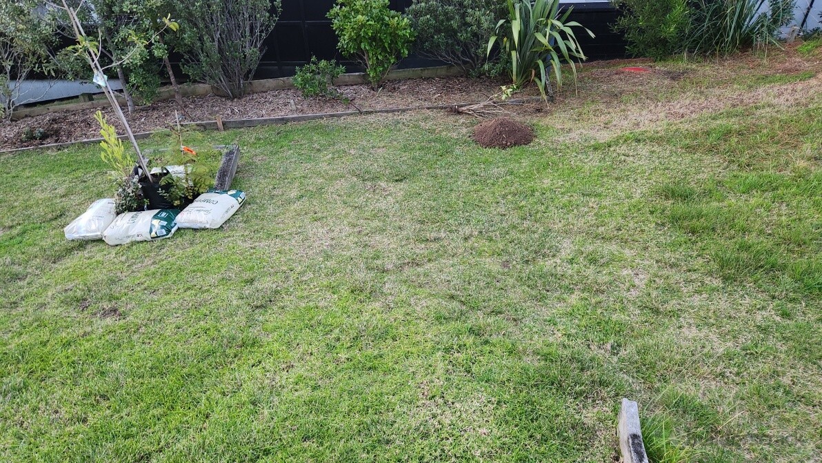 Garden extension - Before