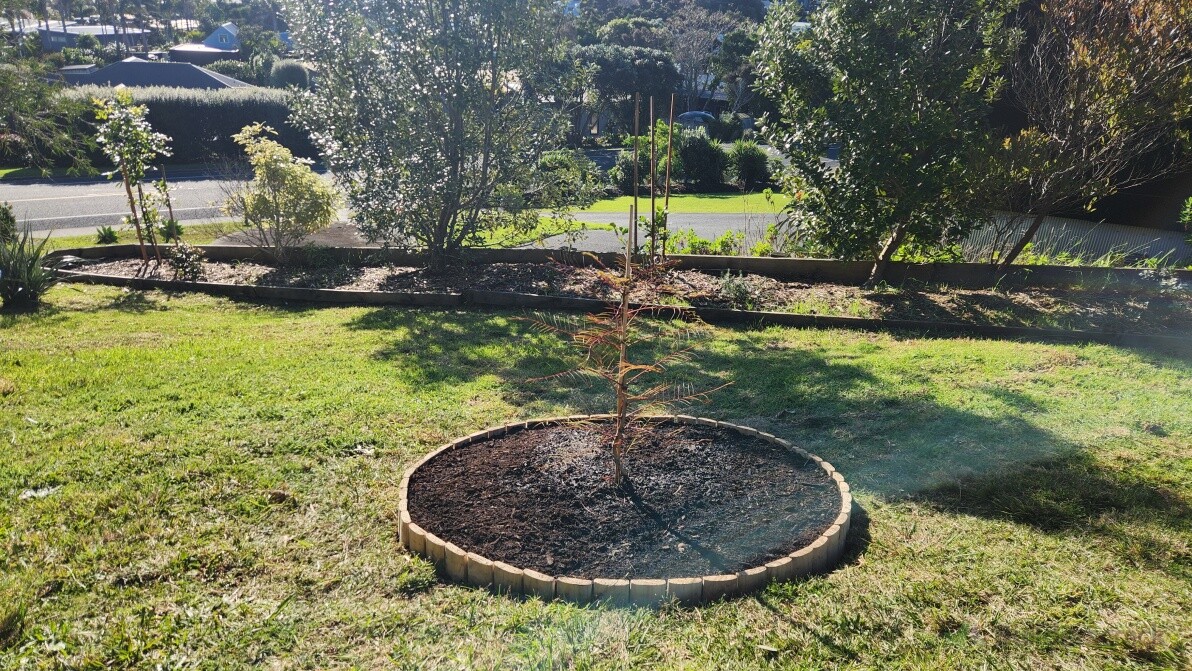 New circular garden