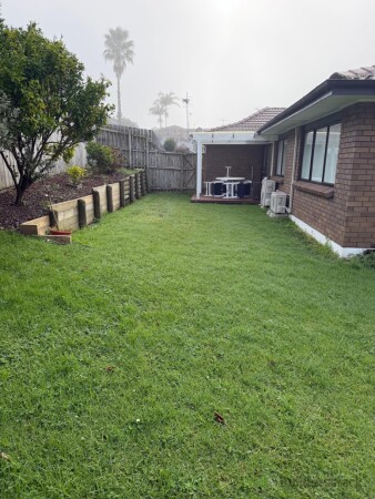 Before
