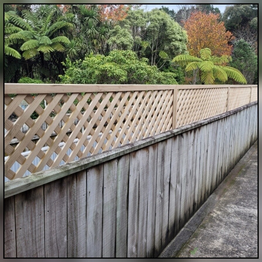Fence privacies