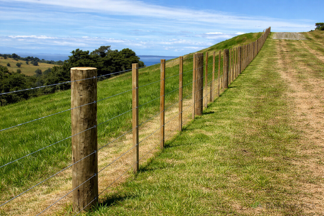 Rural fencing - 7 wire & batten