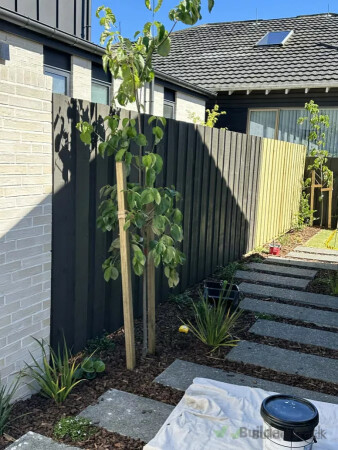 Completed timber fence painting with clean coverage and the surrounding garden protected.