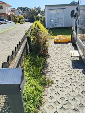 Before - Hedges & Lawn