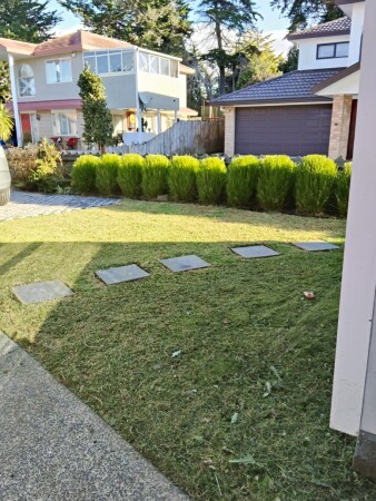 Front yard - Lawn cut and hedges trimmed