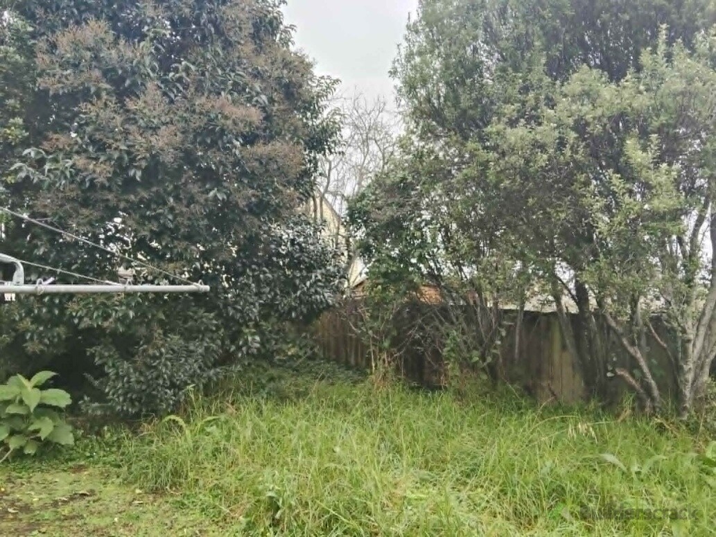Before - Back yard