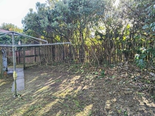 After - Back yard