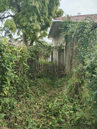 Before - side of house