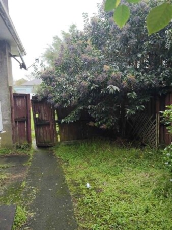 Before - back gate entrance
