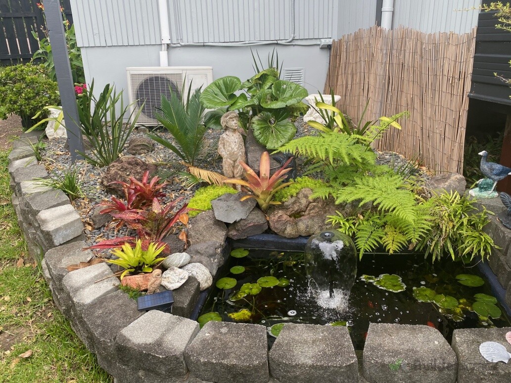 Garden/Pond Makeover