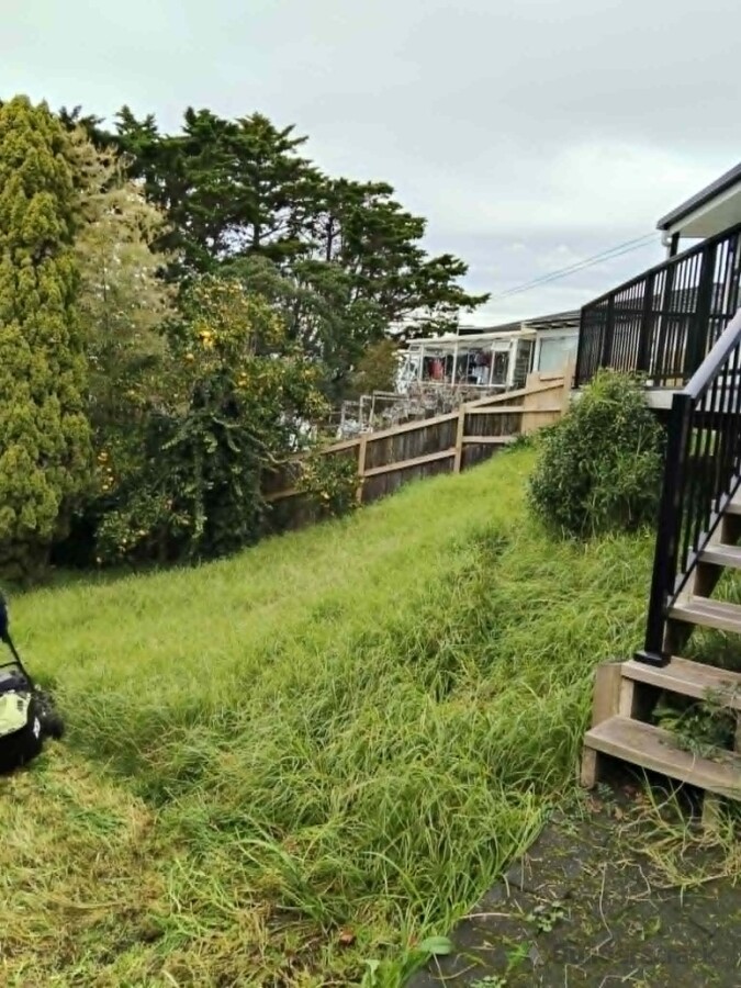 Front yard - overgrown lawn