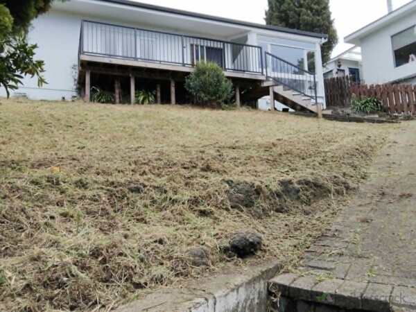 Front yard - Lawn was cut