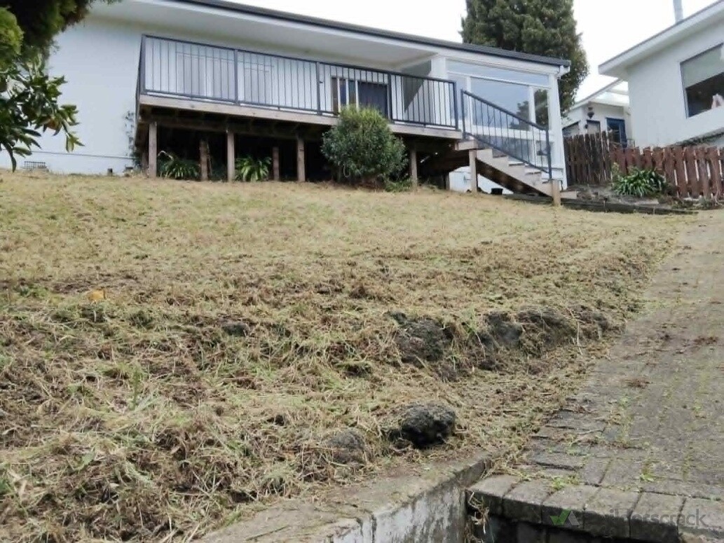Front yard - Lawn was cut