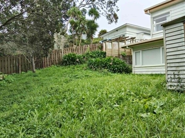 Backyard - overgrown lawn