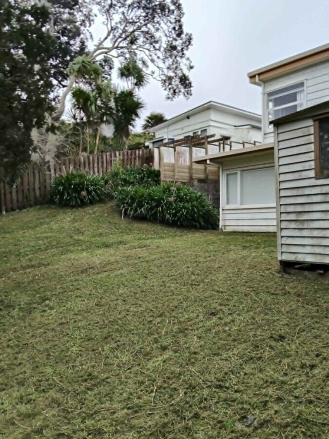back lawn cut
