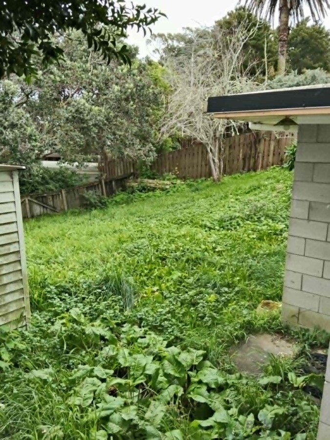 overgrown