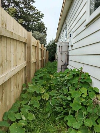 side of property  - overgrown
