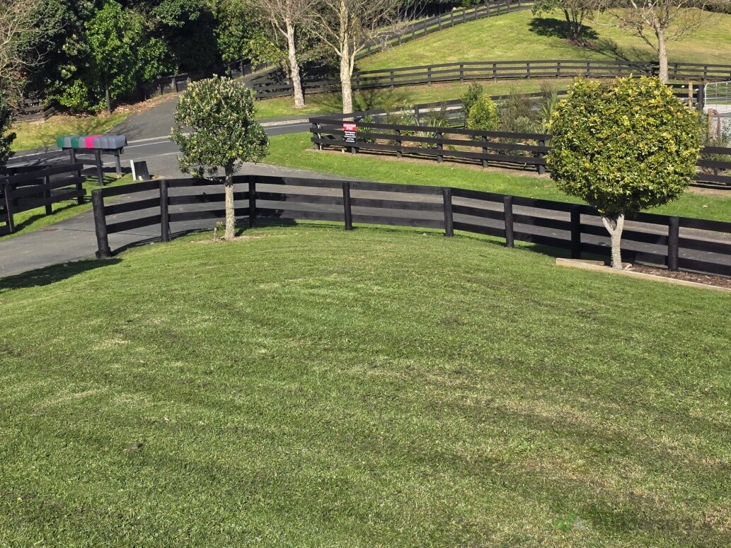 Fence painting