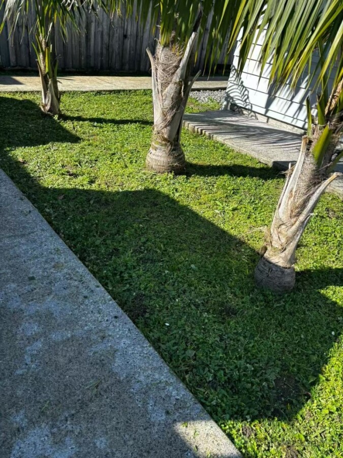 Lawn Mowing