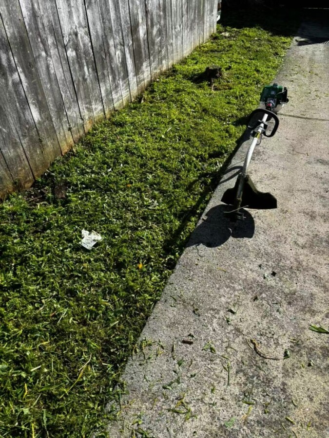 Hedge Trimming