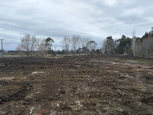reshaping paddock