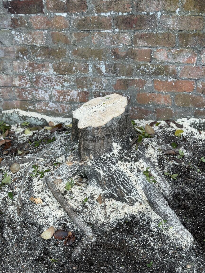 Job image