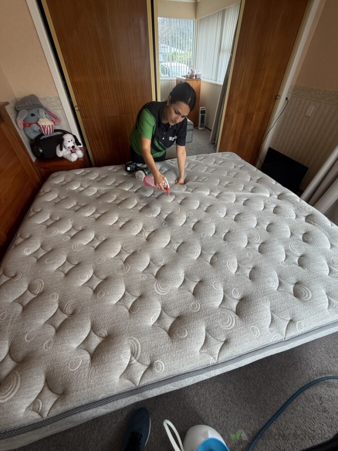 Mattress steam Clean