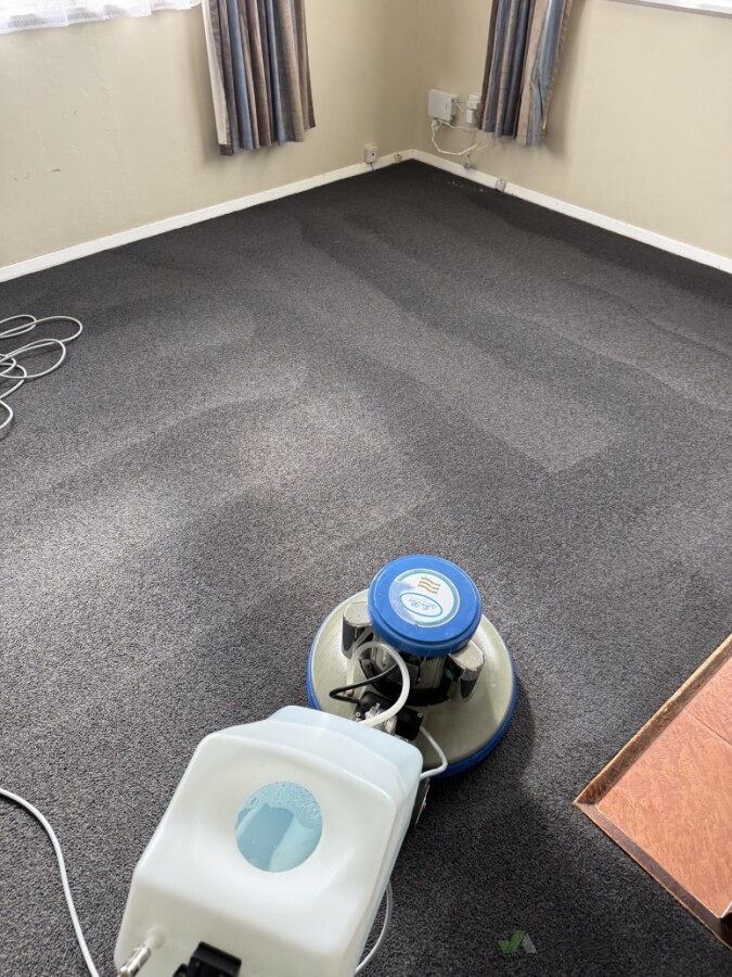 Carpet Cleaning