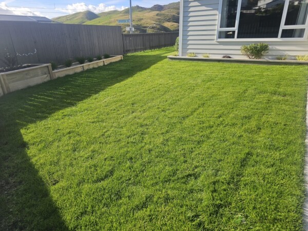Hydrseeding after 4 weeks